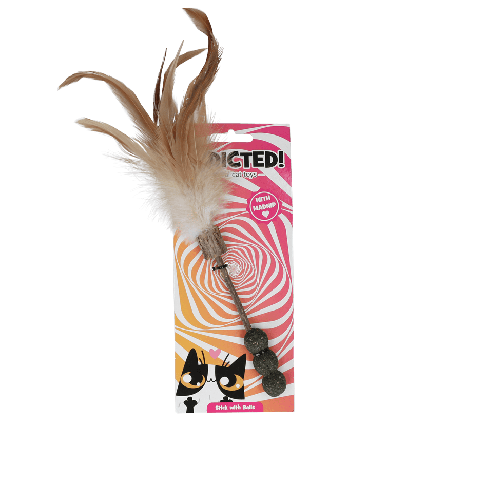 Feather cat toy
