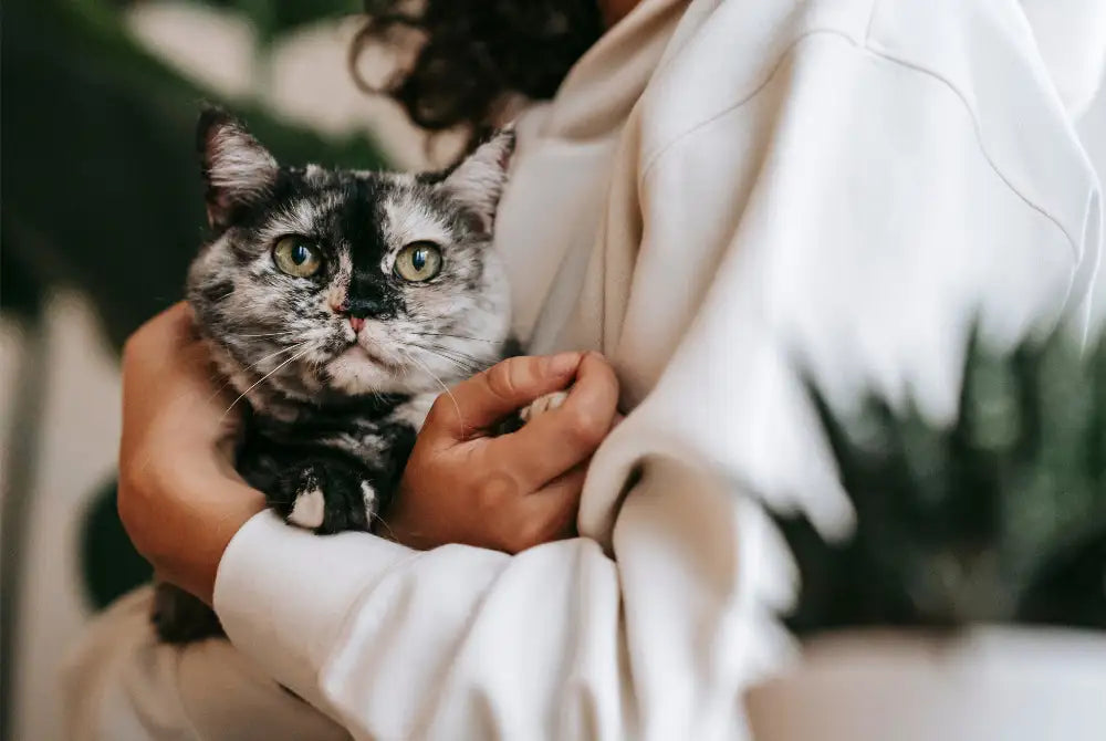 woman holding a cat to her chest