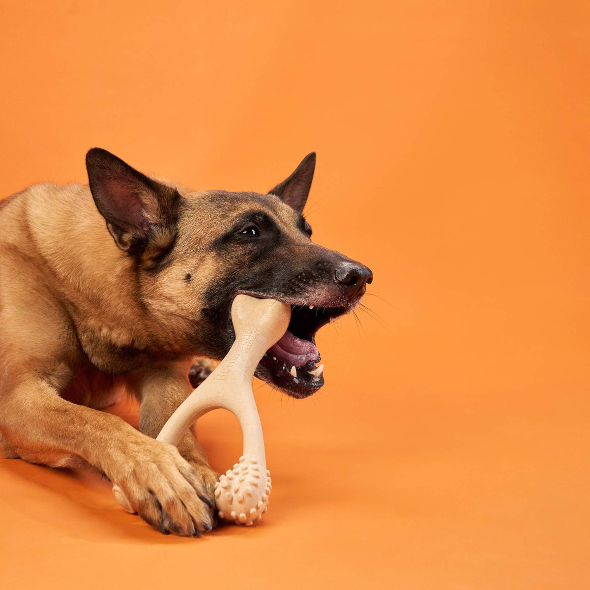 BetterBone Hard Density - Tough, SUPER Durable All - Natural, Dog Chews - For Aggressive Chewers. - zooneepet.com