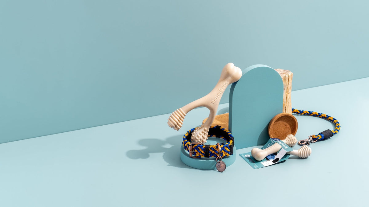 BetterCollar - 100% Fairtrade Recycled Ocean Bound Plastic Dog Collar - zooneepet.com