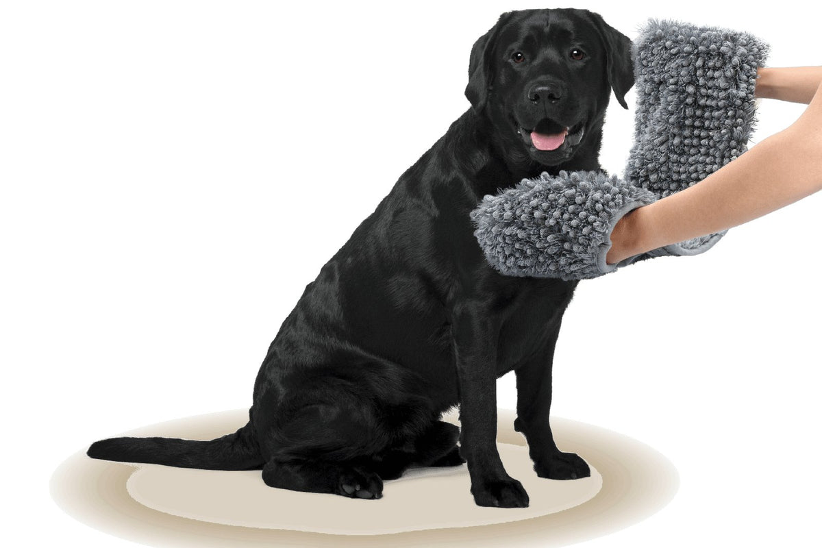 black dog being dried by the gray drying towel