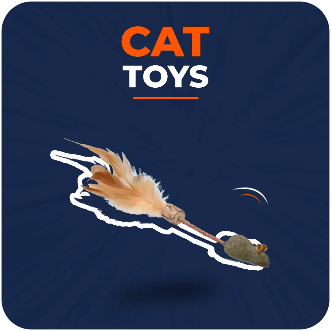 Cat Toys