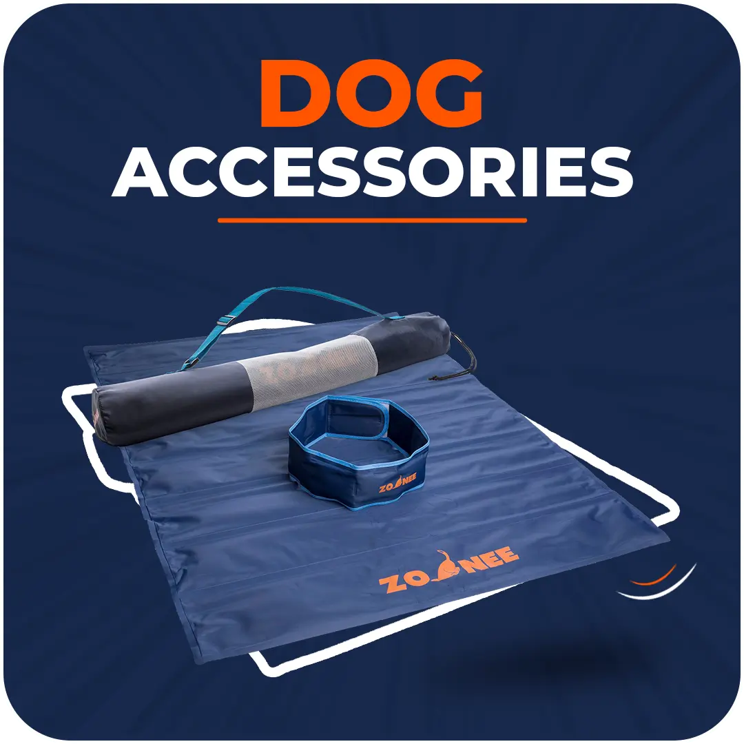 Dog Accessories