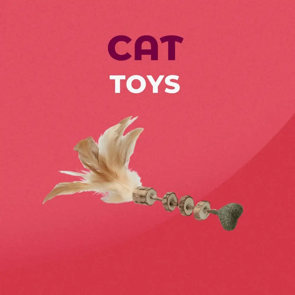 Cat Toys
