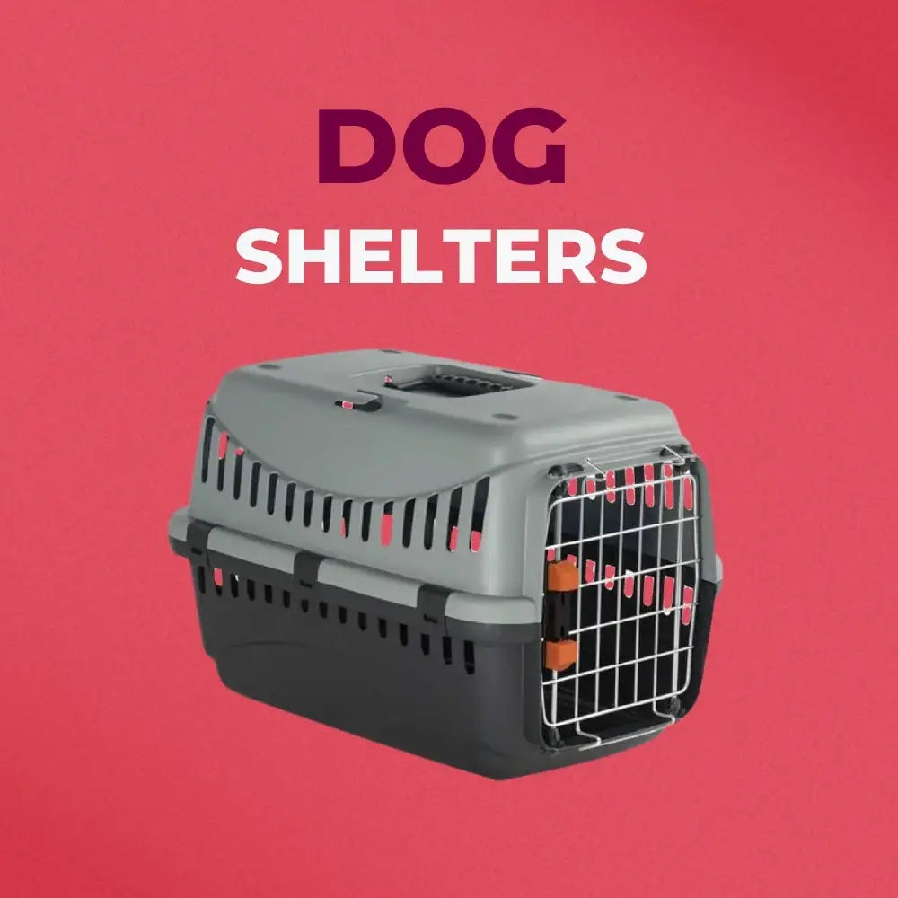 Dog Shelters