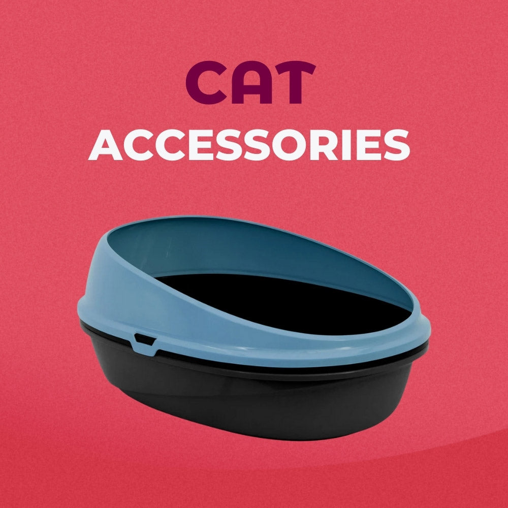 Cat Accessories