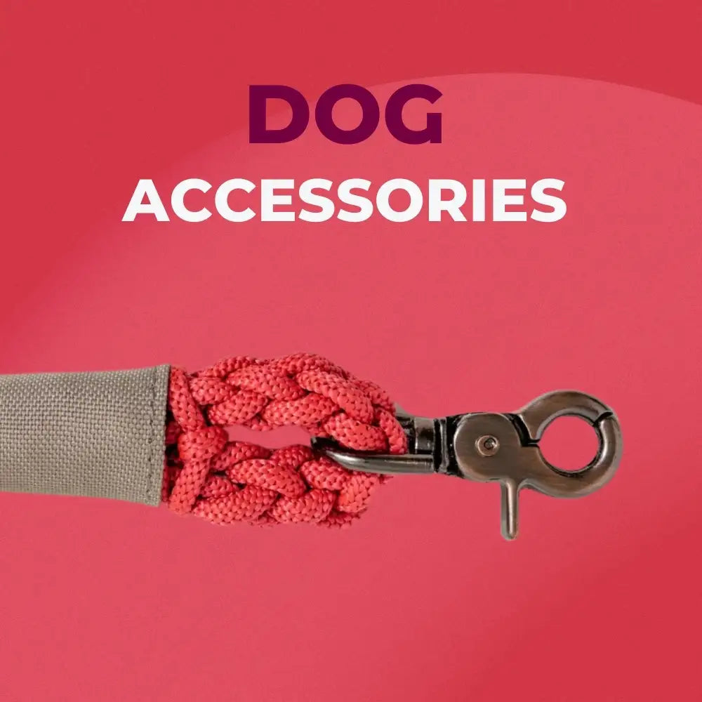 Dog Accessories - zooneepet.com