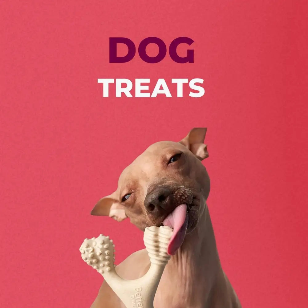 Dog Treats - zooneepet.com