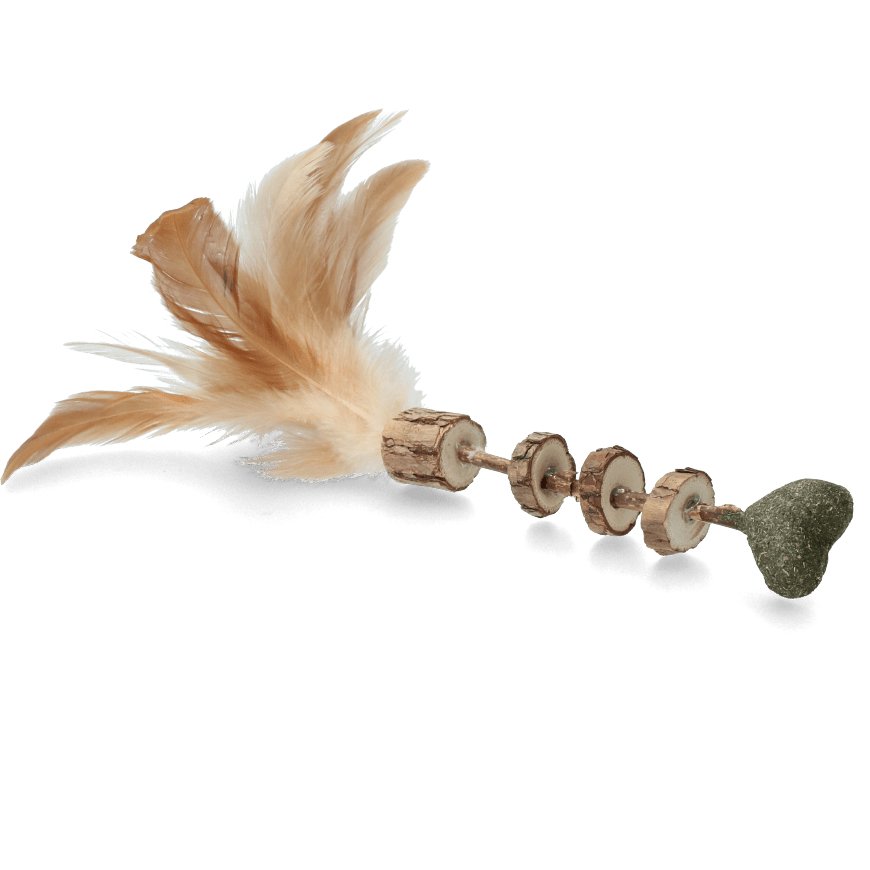 Addicted Stick with Heart and Feathers - zooneepet.com