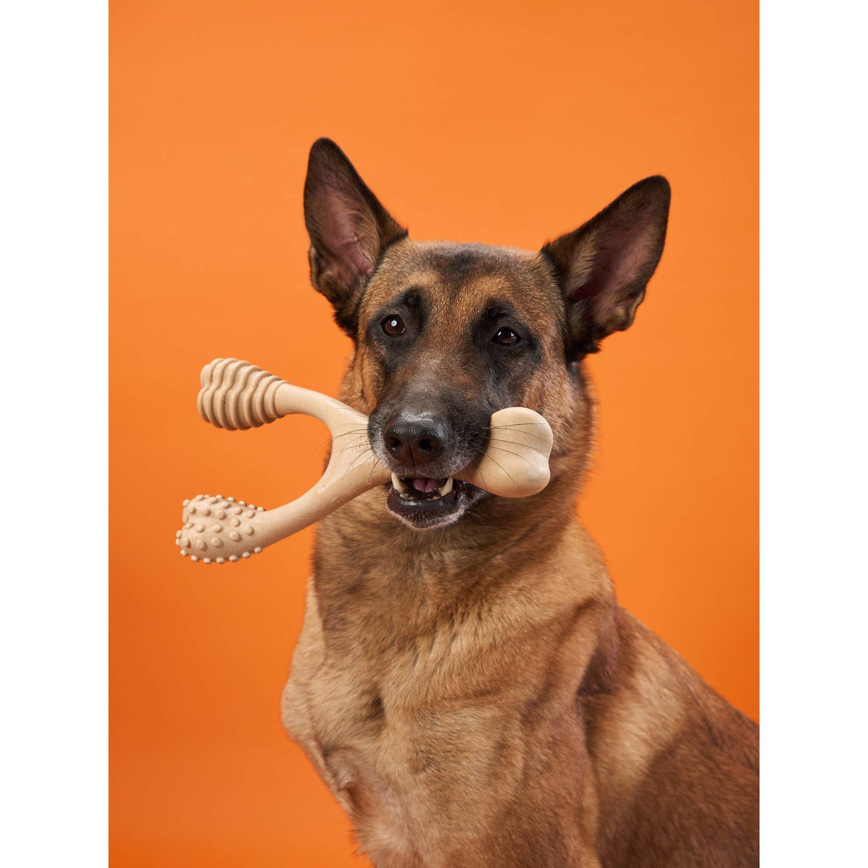 BetterBone Hard Density - Tough, SUPER Durable All - Natural, Dog Chews - For Aggressive Chewers. - zooneepet.com