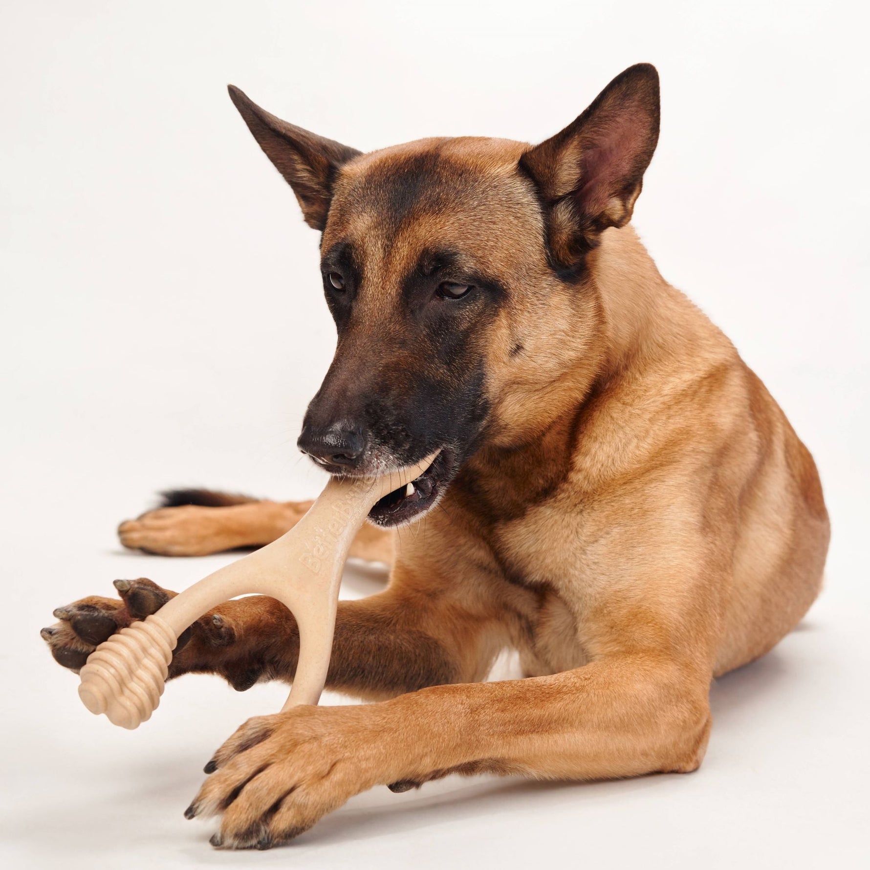 BetterBone Medium Density - Perfect for medium to strong chewers! Natural, healthier, safer. - zooneepet.com