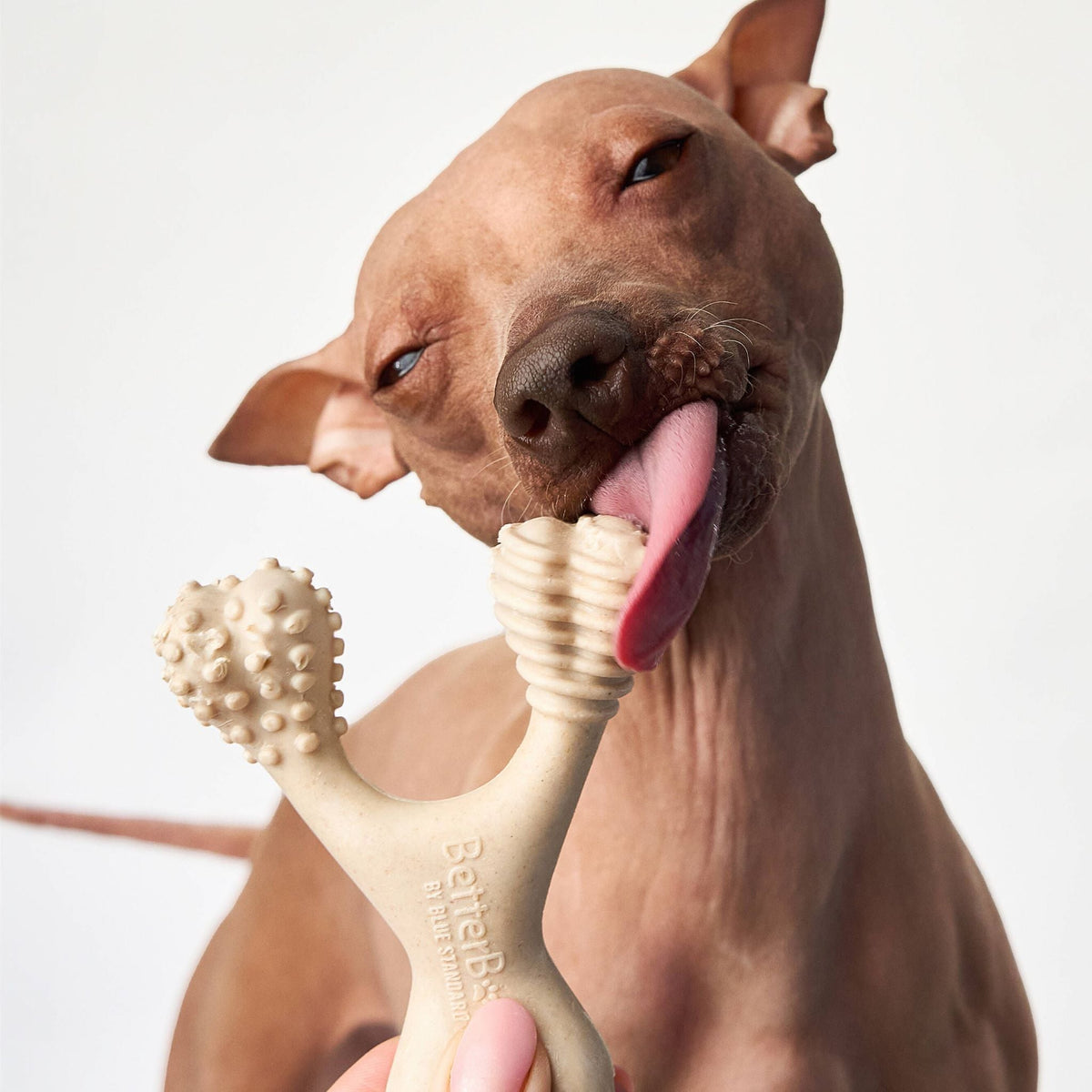 BetterBone SOFT Density - All - Natural, Perfect for teething Puppies, Older dogs, LIGHT chewers - zooneepet.com