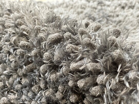 gray fibers