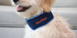 Dog wearing Zoonee cooling collar